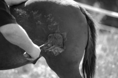 餐飲店老板該如何設計餐飲品牌在競爭中勝出并贏得顧客？