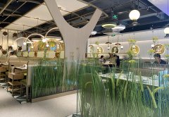 餐廳生意不好應該怎么辦，餐飲老兵的8條建議：其中有幾條餐飲人都踩過！