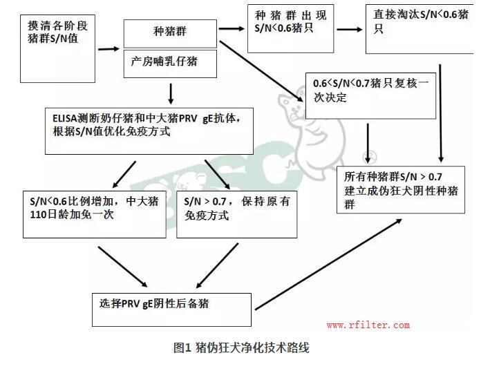 規(guī)模豬場(chǎng)如何凈化控制疫病？空氣過濾系統(tǒng)如何阻擋藍(lán)耳病毒株呢？